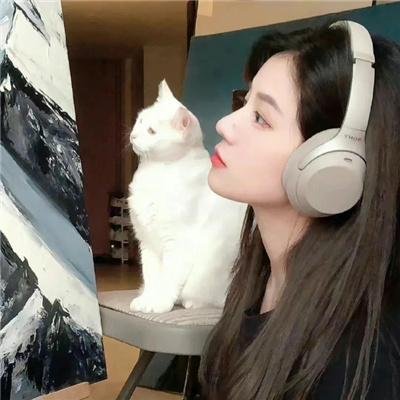 现在开始作秀时间